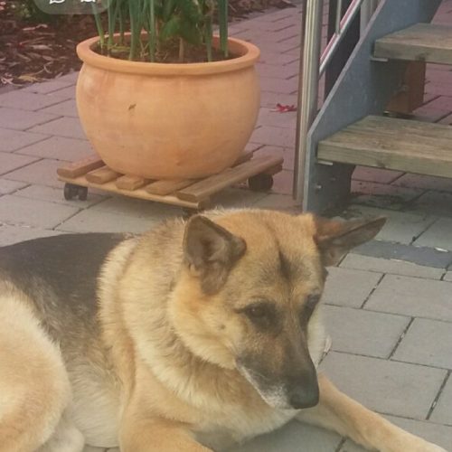 Screenshot_20210220-060448_One UI Home.jpg